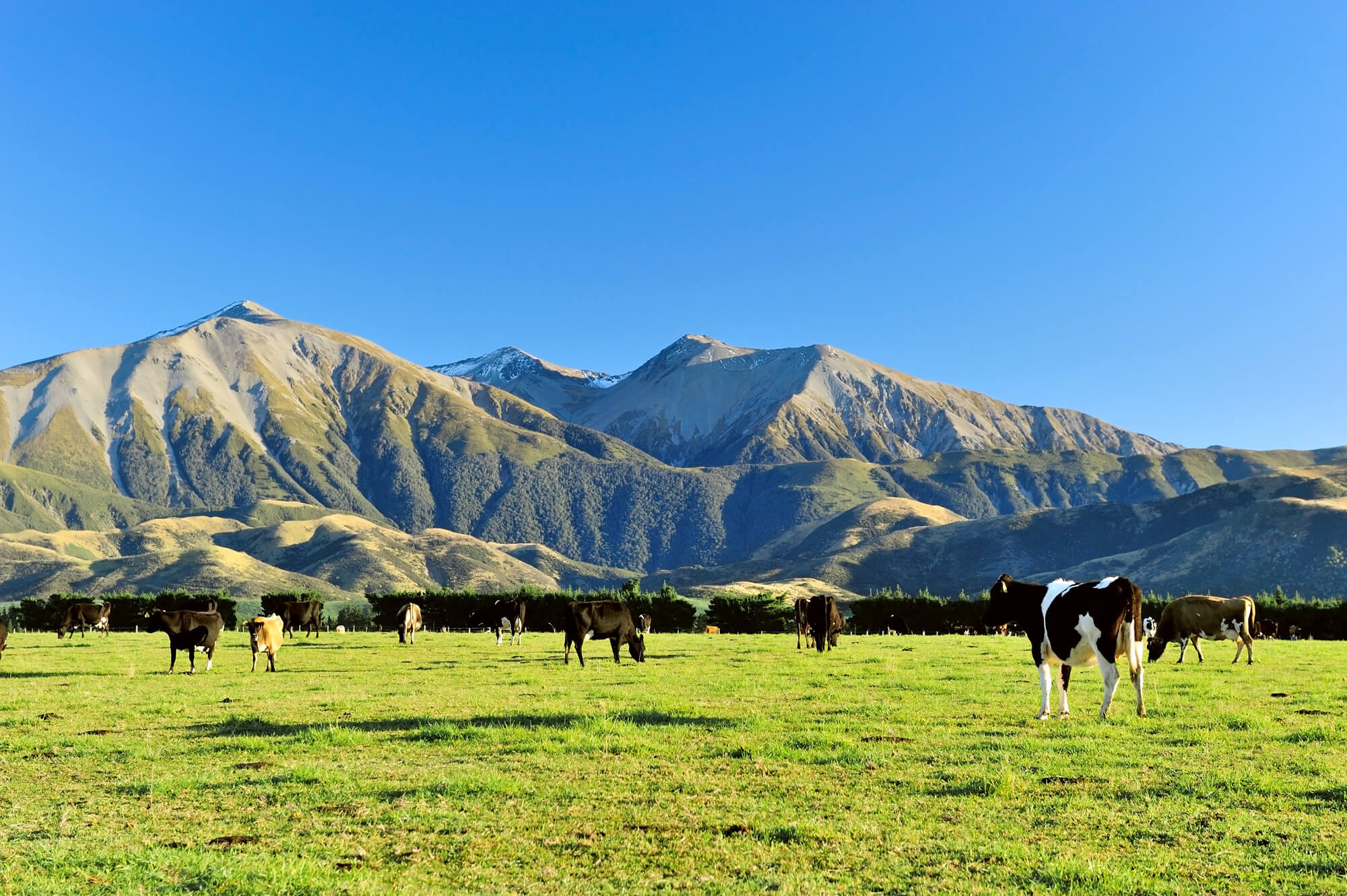 High Mountain, New Zealand