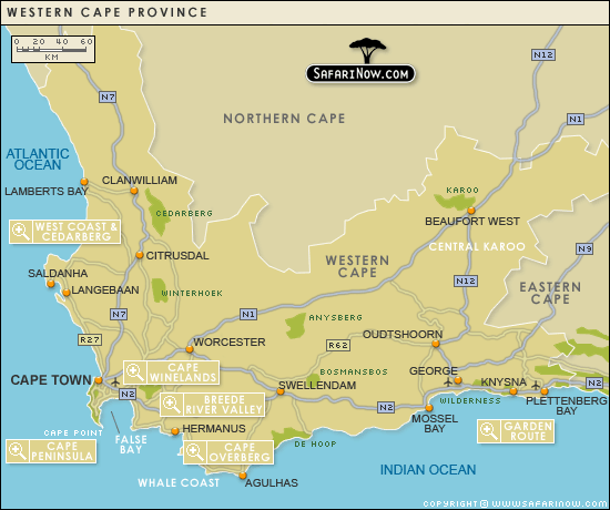 Cape Town Map and Cape Town Satellite Image