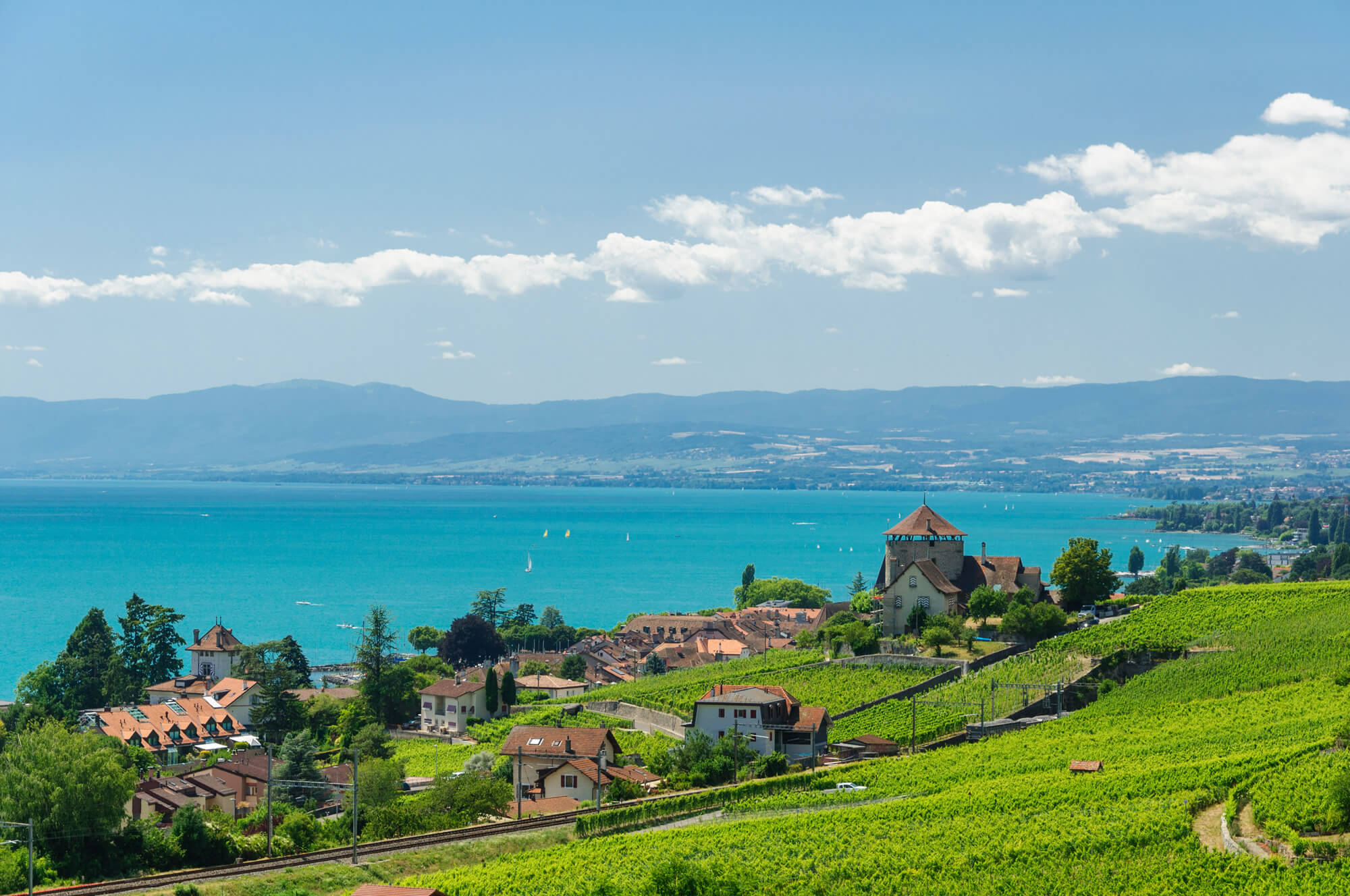 Lavaux Vineyard Terraces Lausanne