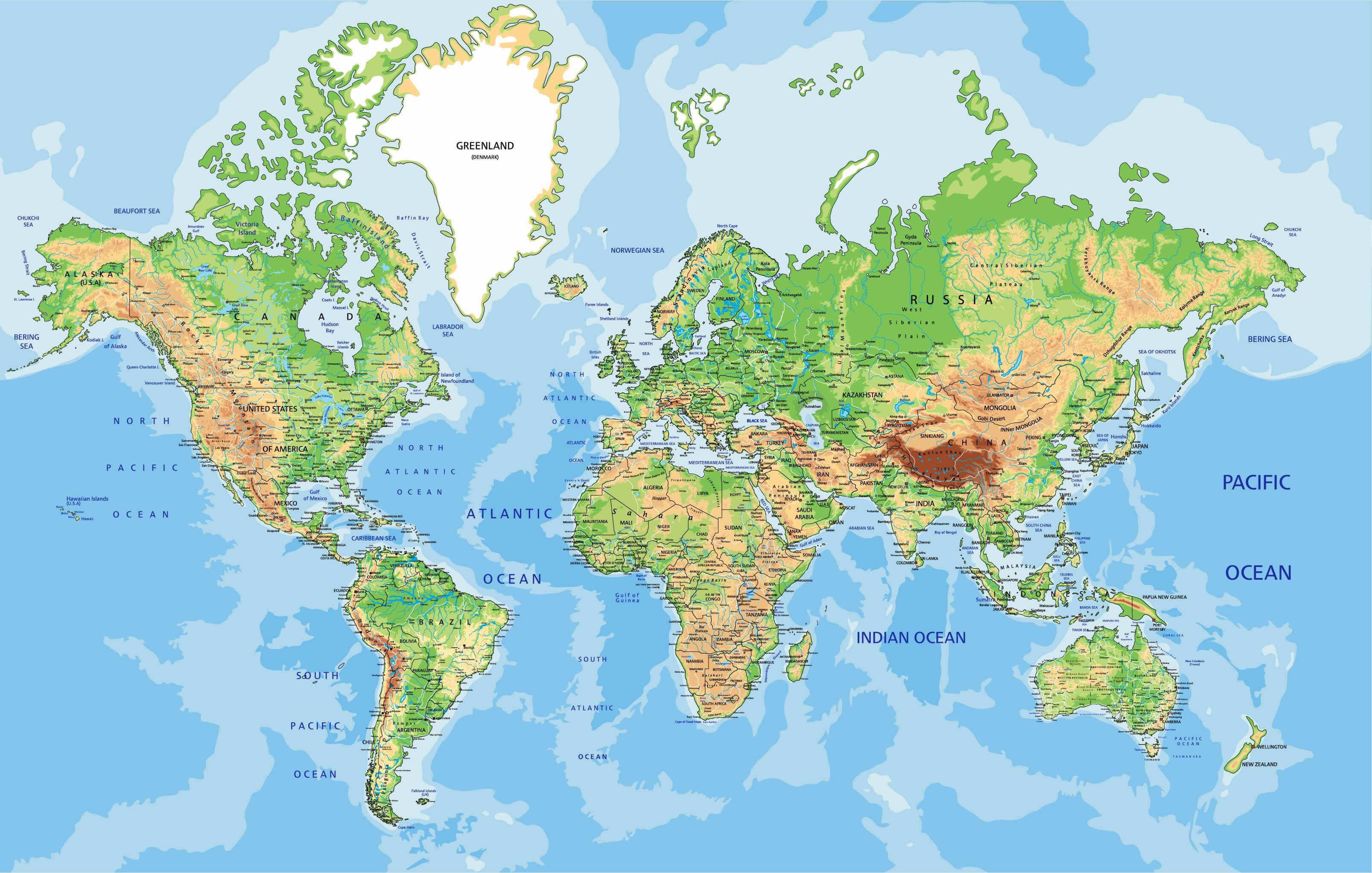 The World Map